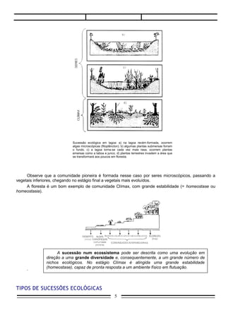 Sucessão ecológica em lagoa: a) na lagoa recém-formada, ocorrem
                          algas microscópicas (fitoplâncton). b) algumas plantas submersas forram
                          o fundo. c) a lagoa torna-se cada vez mais rasa, ocorrem plantas
                          emersas como a taboa e junco. d) plantas terrestres invadem a área que
                          se transformará aos poucos em floresta.




     Observe que a comunidade pioneira é formada nesse caso por seres microscópicos, passando a
vegetais inferiores, chegando no estágio final a vegetais mais evoluídos.
     A floresta é um bom exemplo de comunidade Clímax, com grande estabilidade (= homeostase ou
homeostasia).




                    A sucessão num ecossistema pode ser descrita como uma evolução em
              direção a uma grande diversidade e, consequentemente, a um grande número de
              nichos ecológicos. No estágio Clímax é atingida uma grande estabilidade
     .        (homeostase), capaz de pronta resposta a um ambiente físico em flutuação.




TIPOS DE SUCESSÕES ECOLÓGICAS
                                                       5
 