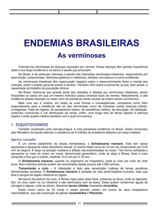 Em 1965, a Comissão Internacional de Nomenclatura Zoológica decidiu a adoção do nome genérico
Biomphalaria para todos os vetores do Schistosoma mansoni na África e nas Américas.
      Ao penetrar no caramujo, os miracídios reproduzem-se rapidamente, formando esporocistos e, por
fim, cercárias, que são eliminadas pelo molusco. Cada caramujo libera milhares cercárias por dia.
      As cercárias encontram-se principalmente em alagadiços, valas de irrigação, poços e riachos de
pouca correnteza. A penetração delas na pele produz irritação cutânea. Por essa razão, no Nordeste, as
águas infestadas são conhecidas como “lagoas de coceiras”.
      Da pele, as cercárias atingem os vasos sanguíneos, indo fixar-se nas veias do sistema portal,
passando a se denominar metacercárias. Posteriormente, ocorre o acasalamento entre o macho e a
fêmea. Cerca de 40 dias após a penetração na pele humana começa, novamente, a postura de ovos.
      É bom saber

É bom saber
     Os sexos do Schistosoma são separados. O macho mede 6 a 10 mm de comprimento. É robusto e
possui um sulco ventral, o canal ginecóforo (veja figura abaixo), abriga a fêmea durante o acasalamento.
A fêmea é mais comprida e delgada que o macho. Ambos possuem ventosas de fixação, localizadas na
extremidades anterior do corpo, que facilitam a adesão dos vermes ás paredes dos vasos sanguíneos.




                                                                          ]
                                          Schistosoma mansoni




                                                  57
 