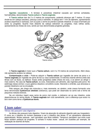 As tênias são chamadas solitárias porque só um verme costuma viver no intestino delgado da
pessoa afetada. Na tênia do porco os proglotes grávidos desprendem-se unidos em grupos de 2 a 6 e são
liberados durante ou após as evacuações. Na tênia do boi, os proglotes despendem-se isoladamente, e
costumam sair do ânus mesmo sem evacuação. No solo, os proglotes se rompem e liberam os ovos. Cada
ovo é esférico e possui cerca de seis pequenos ganchos (espinhos) e é conhecido como oncosfera.
Dentro de cada um desenvolve -se um embrião hexacanto, assim chamado por causa dos seis (hex =
seis) ganchos que o ovo possui.




Cisticercose: um problema sério
      Como se pode notar, porcos e bois atuam como hospedeiros intermediários das tênias e possuem
cisticercose.
      A cisticercose também pode ocorrer no homem que, nesse caso, atua também como hospedeiro
intermediário. Basta que os ovos se instalem no organismo humano, o que não é difícil de ocorrer pois
muitos alimentos, como verduras e frutas, podem conter ovos de tênias. Por isso, é preciso lavá-los muito
bem antes de ingeri-los. Outra possibilidade, comum em pessoas que atuam na área da Saúde Pública, é
a contaminação por ovos liberados por pacientes acometidos de teníase. O modo de contágio mais
comum, no entanto, é a auto-infestação: com freqüência, proglotes grávidos rompem-se ainda no intestino
humano. Ovos liberados podem penetrar pelo revestimento intestinal e atingir a corrente sanguínea. São
levados para diversos locais do corpo, dentre os quais os olhos, a musculatura corporal e cérebro. A
modalidade mais grave é a neurocisticercose, aquela em que os ovos se instalam em vasos cerebrais e
podem, em consequência, acarretar diversos tipos de anomalias como dores intensas de cabeça,
convulsões, desmaios, distúrbios psíquicos e paralisias. Muitas vezes, provocam a morte por lesão
cerebral irreversível.
      A cisticercose é mais comumente causada por cisticercos de Taenia solium. Raramente, observam-
se casos provocados pela tênia do boi.




                                                   60
 