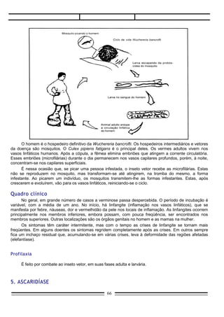    Agente Causador – Áscaris lombricóides.
   Hospedeiro Definitivo – Homem.
   Hospedeiro Intermediário – Não há.


Ciclo da ascaridíase




   Prevenção: instalação de rede de esgoto, água tratada, cuidados gerais de higiene.




ENDEMIAS BRASlLEIRAS - AS PROTOZOOSES

I. Doença de Chagas
                                                 66
 