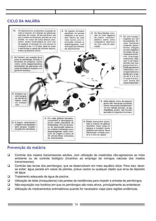 IV. Leishmaniose
      Causador: Leishmania sp.
      Hospedeiro definitivo: homem.
      Hospedeiro intermediário: inseto conhecido como birigui ou mosquito-palha, pertencente ao gênero
Lutzomyia. Faz parte de um grupo de insetos conhecidos vulgarmente como flebótomos.
      Ciclo da leishmaniose: os parasitas se reproduzem no corpo dos insetos e são inoculados durante
a picada. Os ferimentos provocados pela picada ulceram e neles os parasitas se multiplicam. Novas
picadas espalham as leishmânias de pessoa à pessoa.
      Os problemas da leishmaniose.
      É uma parasitose restrita à pele. Os órgãos internos não são afetados. No local da picada, onde se
multiplicam as leishmânias, surge uma ferida arredondada, com forma de moeda. O tratamento eficiente
leva à cura total, porém a ferida cicatriza e deixa marca arredondada.



É bom saber
     Existem duas outras leishmaniose, provocadas por espécies diferentes de flagelados pertencentes
ao gênero Leishmania e transmitida por insetos vulgarmente conhecidas como flebótomos:
    botão-do-oriente, uma leishmaniose cutânea típica dos países orientais. Agente causador:
     Leishmania tropica;
    Leishmaniose visceral, também conhecida como calazar (termo africano proveniente de Kala-azar,
     que significa febre negra) ou febre de Dum-Dum. Causador: Leishmania donovani. Afeta órgãos
     internos (baço e fígado, entre outros). Vários casos já foram detectados no Brasil.
     .



Prevenção da leishmaniose
    Controle dos insetos transmissores, além de medidas que impeçam o contato dos insetos com os
     habitantes de regiões afetadas (matas tropicais).




                                                  74
 