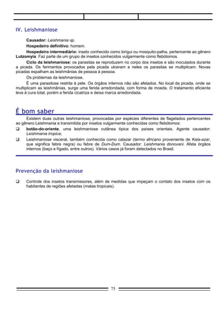 É bom saber
 A. ALGUMAS VIROSES




                      75
 