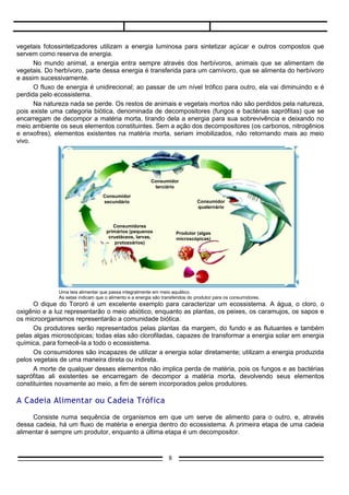 vegetais fotossintetizadores utilizam a energia luminosa para sintetizar açúcar e outros compostos que
servem como reserva de energia.
      No mundo animal, a energia entra sempre através dos herbívoros, animais que se alimentam de
vegetais. Do herbívoro, parte dessa energia é transferida para um carnívoro, que se alimenta do herbívoro
e assim sucessivamente.
      O fluxo de energia é unidirecional; ao passar de um nível trófico para outro, ela vai diminuindo e é
perdida pelo ecossistema.
      Na natureza nada se perde. Os restos de animais e vegetais mortos não são perdidos pela natureza,
pois existe uma categoria biótica, denominada de decompositores (fungos e bactérias saprófitas) que se
encarregam de decompor a matéria morta, tirando dela a energia para sua sobrevivência e deixando no
meio ambiente os seus elementos constituintes. Sem a ação dos decompositores (os carbonos, nitrogênios
e enxofres), elementos existentes na matéria morta, seriam imobilizados, não retornando mais ao meio
vivo.




                                                         Consumidor
                                                          terciário

                                  Consumidor
                                  secundário                                  Consumidor
                                                                              quaternário



                                  Consumidores primários
                                   (pequenos crustáceos,             Produtor (algas
                                    larvas, protozoários)            microscópicas)




              Uma teia alimentar que passa integralmente em meio aquático.
              As setas indicam que o alimento e a energia são transferidos do produtor para os consumidores.
      O dique do Tororó é um excelente exemplo para caracterizar um ecossistema. A água, o cloro, o
oxigênio e a luz representarão o meio abiótico, enquanto as plantas, os peixes, os caramujos, os sapos e
os microorganismos representarão a comunidade biótica.
      Os produtores serão representados pelas plantas da margem, do fundo e as flutuantes e também
pelas algas microscópicas; todas elas são clorofiladas, capazes de transformar a energia solar em energia
química, para fornecê-la a todo o ecossistema.
      Os consumidores são incapazes de utilizar a energia solar diretamente; utilizam a energia produzida
pelos vegetais de uma maneira direta ou indireta.
      A morte de qualquer desses elementos não implica perda de matéria, pois os fungos e as bactérias
saprófitas ali existentes se encarregam de decompor a matéria morta, devolvendo seus elementos
constituintes novamente ao meio, a fim de serem incorporados pelos produtores.

A Cadeia Alimentar ou Cadeia Trófica
     Consiste numa sequência de organismos em que um serve de alimento para o outro, e, através
dessa cadeia, há um fluxo de matéria e energia dentro do ecossistema. A primeira etapa de uma cadeia
alimentar é sempre um produtor, enquanto a última etapa é um decompositor.



                                                                 8
 