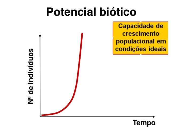 Ecologia