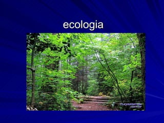 ecologia 