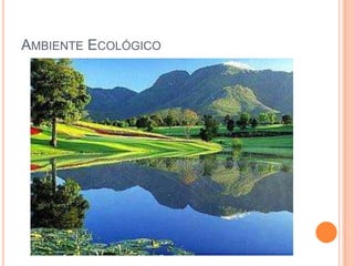 Ambiente Ecológico