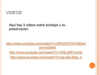 VIDEOS	Aquí hay 3 videos sobre ecología y su preservación. http://www.youtube.com/watch?v=APd33hTGVzI&feature=relatedhttp://www.youtube.com/watch?v=GNLq5R1ouHshttp://www.youtube.com/watch?v=qp-oGLMgp_s