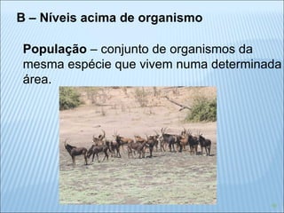 B – Níveis acima de organismo População  – conjunto de organismos da  mesma espécie que vivem numa determinada área. 