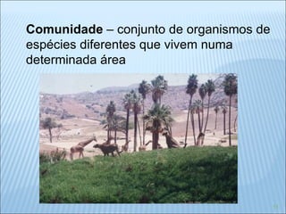 Comunidade  – conjunto de organismos de espécies diferentes que vivem numa determinada área 