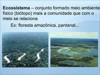 Ecossistema  – conjunto formado meio ambiente físico (biótopo) mais a comunidade que com o meio se relaciona Ex: floresta amazônica, pantanal... 