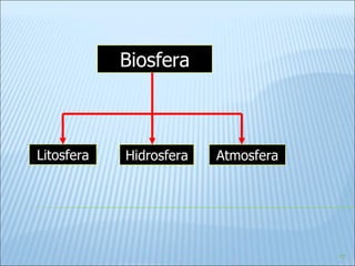 Litosfera Hidrosfera Atmosfera Biosfera 