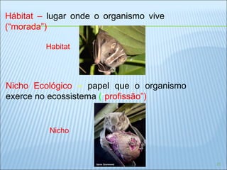 Hábitat –   lugar onde o organismo vive  (“morada”) Habitat Nicho Nicho Ecológico  –   papel que o organismo exerce no ecossistema  ( “ profissão”) 
