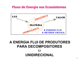 Fluxo de Energia nos Ecossistemas     A ENERGIA FLUI DE PRODUTORES PARA DECOMPOSITORES  UNIDIRECIONAL 