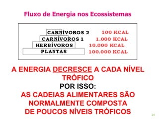 Fluxo de Energia nos Ecossistemas     A ENERGIA  DECRESCE  A CADA NÍVEL TRÓFICO POR ISSO: AS CADEIAS ALIMENTARES SÃO NORMALMENTE COMPOSTA DE POUCOS NÍVEIS TRÓFICOS 