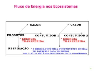 Fluxo de Energia nos Ecossistemas 