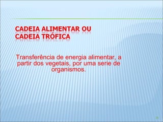Transferência de energia alimentar, a partir dos vegetais, por uma serie de organismos. 