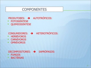 PRODUTORES:      AUTOTRÓFICOS: FOTOSSÍNTESE QUIMIOSSÍNTESE CONSUMIDORES:      HETEROTRÓFICOS: HERBÍVOROS CARNÍVOROS OMNÍVOROS DECOMPOSITORES:      SAPRÓFAGOS: FUNGOS BACTÉRIAS COMPONENTES 