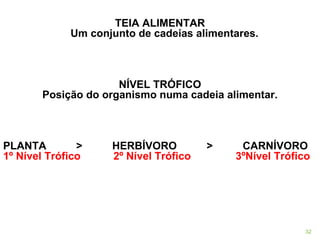 TEIA ALIMENTAR Um conjunto de cadeias alimentares.   NÍVEL TRÓFICO Posição do organismo numa cadeia alimentar. PLANTA          >          HERBÍVORO          >          CARNÍVORO 1º Nível Trófico           2º Nível Trófico          3ºNível Trófico 