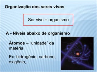 Organização dos seres vivos Ser vivo = organismo A - Níveis abaixo de organismo Átomos  – “unidade” da  matéria Ex: hidrogênio, carbono,  oxigênio,... 