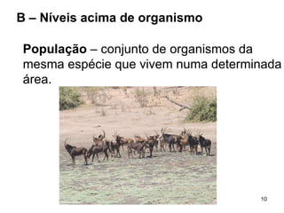B – Níveis acima de organismo População  – conjunto de organismos da  mesma espécie que vivem numa determinada área. 