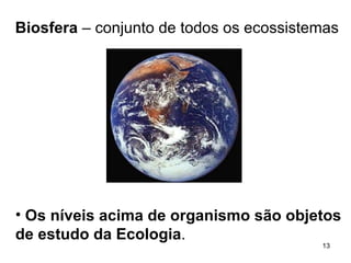 Biosfera  – conjunto de todos os ecossistemas Os níveis acima de organismo são objetos de estudo da Ecologia . 