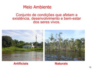 Meio Ambiente Conjunto de condições que afetam a existência, desenvolvimento e bem-estar dos seres vivos. Artificiais Naturais 