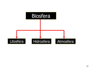 Litosfera Hidrosfera Atmosfera Biosfera 