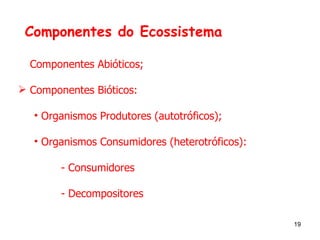Componentes do Ecossistema Componentes Abióticos;  Componentes Bióticos: Organismos Produtores (autotróficos); Organismos Consumidores (heterotróficos): - Consumidores - Decompositores 