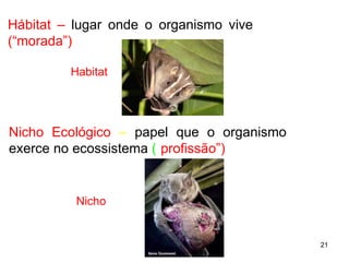 Hábitat –   lugar onde o organismo vive  (“morada”) Habitat Nicho Nicho Ecológico  –   papel que o organismo exerce no ecossistema  ( “ profissão”) 