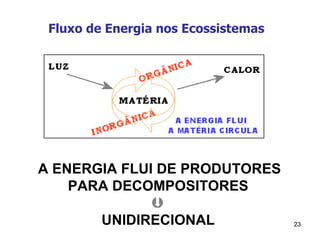 Fluxo de Energia nos Ecossistemas     A ENERGIA FLUI DE PRODUTORES PARA DECOMPOSITORES  UNIDIRECIONAL 