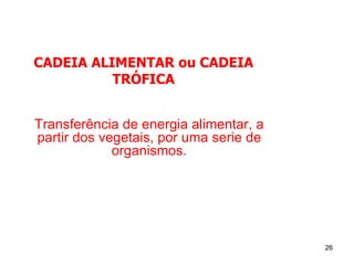 CADEIA ALIMENTAR ou CADEIA TRÓFICA Transferência de energia alimentar, a partir dos vegetais, por uma serie de organismos. 