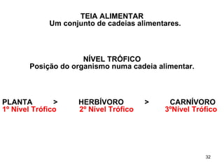 TEIA ALIMENTAR Um conjunto de cadeias alimentares.   NÍVEL TRÓFICO Posição do organismo numa cadeia alimentar. PLANTA          >          HERBÍVORO          >          CARNÍVORO 1º Nível Trófico           2º Nível Trófico          3ºNível Trófico 