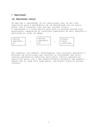 •    Reprodução

(a) Reprodução sexual

Se bem que a reprodução já foi mencionada como um dos três
requisitos para a permanência de um determinado ser na terra,
neste iten é referido como uma das funções vitais.
A reprodução é a forma básica pela qual as plantas mantêm suas
populações, adaptam-se às condições cambiantes do meio ambiente e
persistem ao longo do tempo.


    célula              célula             Zigoto
    reproduti           reproduti          (novo
                  +     va           =
    va                                     indivíduo
    Mas lina            Feminina           )



Nos vegetais com semente (fanerógamas) este processo apresenta o
processo de polinização que consiste na fecundação dum óvulo
(célula reprodutiva feminina) pelo pólen (célula reprodutiva
masculina) para, com o seu desenvolvimento produzir uma semente
madura que é, nada mais nada menos, uma planta ainda no estado
latente.




                                9
 