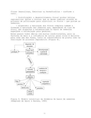 flores (masculinas, femininas ou hermafroditas - conforme o
caso).

     - frutificação: o desenvolvimento floral produz células
reprodutivas (pólen e óvulos) que se devem combinar através do
processo de polinização para constituir os frutos - que portam as
sementes.
     - dispersão: a maturação dos frutos completa também a
formação e maturação das sementes que, dependendo do tipo de
fruto, são dispersas e estabelecidas no banco de sementes
esperando a estimulação para germinar.
Estes passos todos dão-se com muitas condicionantes, pois os
factores do meio e a influência de outros seres vivos é decisiva
para cada uma das fases, tanto na sobrevivência da planta como na
realização do processo reprodutivo (Figura 4).




Figura 4. Modelo conceitual da dinâmica do banco de sementes
(Adaptado de Spurr e Barnes, 1980)




                              11
 