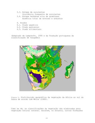3.3. Estepe de suculentas
          Ocorrência frequente de suculentas
     3.4. Estepe herbácea e/ou de gramíneas
          Ausência total de árvores e arbustos

     4. Prados
     4.1. Prado aquático
     4.2. Prado pantanoso
     4.3. Prado altimontano


(Adaptado de Lamprecht, 1990 e da Tradução portuguesa da
classificação de Yangambi)




Figura 5.Distribuição geográfica da vegetação da Africa ao sul do
Saara de acordo com White (1980).




Como se vê, as classificações da vegetação são elaboradas para
vegetação natural estável. Existem, no entanto, outras formações



                              19
 