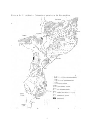 Figura 6. Principais formações vegetais de Moçambique




                              25
 