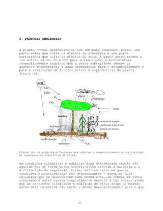 2. FACTORES AMBIENTAIS


A planta normal desenvolve-se num ambiente complexo: possui uma
parte aérea que sofre os efeitos da atmosfera e uma parte
subterrânea que sofre os efeitos do solo. A parte aérea recebe a
luz solar, calor, O2 e CO2 para a respiraçao e fotossíntese
respectivamente enquanto que a parte subterrânea recebe os
minerais (nutrientes) e água necessários para o desenvolvimento e
para a realização de funções vitais e reprodutivas da planta
(Figura 16).


           SOL
               Luz
               Calor
                           O2                chuva
                                                           relâmpago
                     CO2

                                                                               vento

                                sombra
                                                               - extracção de produtos
                                                               - modificação de uso de terra
                     herbivoria
                                                               - poluição por resíduos



             mineralização                                 Fixação de N2
                                nutrientes           H2O


Figura 16. Os principais factores que afectam o desenvolvimento e distribuição
da vegetaçao na superfície da terra.


As condições climáticas e edáficas duma determinada região são
aquelas que de forma muito significativa afectam a natureza e a
distribuição da vegetação. Porém, existem casos em que as
condições microclimáticas são determinantes - exemplo: dois
cajueiros que se desenvolvem numa mesma zona, um cresce em sítio
sombreado e outro cresce completamente exposto à luz solar; ainda
que as condições climáticas e edáficas do sítio sejam as mesmas
estes dois cajueiros não terão o mesmo desenvolvimento pois o que



                                             45
 