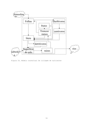 Atmosfera

              Folhas                         herbívoros
                                frutos

                               Troncos/       carnívoros
                                ramos
               litera

                          detritivoros

             Superfície                                    rios
subsolo                            raízes
              do solo


Figura 24. Modelo conceitual de ciclagem de nutrientes




                                     55
 