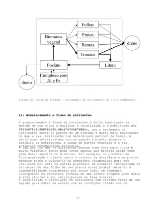Folhas

                Biomassa                  Frutos
                 vegetal                                             dreno
                                          Ramos

                                          Troncos

                  Fosfato                              Litera

             Complexo com
 dreno          Al e Fe



Figura 26. Ciclo do fósforo – um exemplo de um elemento de ciclo sedimentar




ii) Armazenamento e fluxo de nutrientes

O armazenamento e fluxo de nutrientes é muito importante na
medida em que ajuda a explicar a localização e a mobilidade dos
nutrientes dentro de um ecossistema.
Vários autores enfatizam, e com razão, que o movimento de
nutrientes entre as partes de um sistema é muito mais importante
do que a sua localização num determinado período de tempo. A
reciclagem intra-sistema ocorre quando a planta absorve e
assimila os nutrientes, a queda de partes vegetais e a sua
posterior decomposição biológica.
A rapidez com que os nutrientes passam duma fase para outra é
muito variável: tanto pode levar apenas uns minutos assim como
pode durar séculos ou milénios. Por exemplo, no processo de
fotorespiração a planta capta o carbono da atmosfera e em poucos
minutos torna a colocá-lo na atmosfera (disponível para ser
utilizado por esta ou outras plantas); um elemento incorporado na
estrutura de uma folha de uma planta anual poderá retornar à
disponibilidade anualmente; por outro lado, um elemento
incorporado na estrutura lenhosa de uma árvore longeva pode durar
muitos séculos a ser reincorporado na fase mineral.
A localização e circulação de nutrientes num sistema varia de uma
região para outra de acordo com as condições climáticas da



                                     57
 