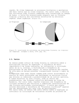 região. No clima temperado os processos biológicos e geológicos
são mais lentos que no clima tropical. Por outro lado, a maioria
dos nutrientes numa floresta temperada está concentrada na camada
de humus e falta-lhe mineralização enquanto que na floresta
tropical a maioria dos nutrientes encontra-se na estrutura
vegetal (fase orgânica) (Figura 27).

a) Tropical                               b) temperado




Figura 27. Localização de nutrientes num ecossistema florestal (a) tropical;
(b) temperado (Longman e Jenik, 1978. pág. 38).




2.5. Ventos

Os ventos podem influir de forma directa ou indirecta sobre a
distribuição natural da vegetação. A influência de maior
importância é de forma indirecta, ao influenciar a circulação
geral do ar e, consigo, a distribuição e frequência da
precipitação de uma dada regiao. Os ventos movem-se das regiões
de alta para as baixas pressões transportando consigo o vapor de
água.
A vegetação duma dada região também pode sofrer directamente os
efeitos do vento provocando uma deformação na estrutura física
das árvores ou reduzindo a produtividade de um cultivo agrícola.
É comum encontrar na zona litoral, onde os ventos são
predominantes, uma formação arbustiva deformada em forma de
bandeira. Por outro lado, regiões tropicais com frequência de
ciclones evidencia uma estrutura e composição características de
uma floresta perturbada constantemente - é assim que alguns
autores mencionam a existência de "florestas ciclónicas" aquelas
que são determinadas por este tipo de perturbações.
Por outro lado, os ventos têm outro efeito sobre a vegetação ao
contribuir na circulação de nutrientes através do processo de



                                     58
 
