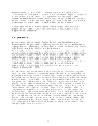 desenraizamento de árvores trazendo consigo as partes mais
interiores do solo para a superfície e ao mesmo tempo colocando a
biomassa (da árvore caída) à disposição dos decompositores.
Também as tempestades podem trazer consigo uma suspensão coloidal
de nutrientes e efectuar uma deposição numa dada região - este é
o processo de circulação inter-sistemas de nutrientes.

A vegetação em si é directamente influenciada pelo vento na
medida em que este é indicado como agente polinizador e de
dispersão de sementes.


2.6. Queimadas

As queimadas são um outro factor de extrema importância na
distribuição da vegetação. Existem várias fontes de queimadas na
vegetação: os relámpagos, a lava dos vulcoes, os fogos provocados
pelo homem (para agricultura e para caça).
Na situação de Moçambique as principais causas das queimadas são
as actividades humanas. Não estaria muito errado se afirmasse que
nas regiões Centro e Norte de Moçambique todas as florestas são
queimadas pelo menos uma vez por ano. Sendo assim, é lógico
concluir que a vegetação destas zonas possui determinadas
características adaptativas às queimadas anuais (Figura 28). Foram
reportadas algumas espécies arbóreas (p.e. Pterocarpus
angolensis) cuja semente não germina sem que passe por uma
fogueira (Campbell 1996).

As queimadas são quase sempre resultado de actividades humanas
para (a) agricultura: o camponês antes de entrar na machamba com
a enxada a capinar primeiro passa fogo sobre o capim que está na
machamba; estes fogos muitas vezes ficam descontrolados queimando
grandes áreas florestais; (b) caça: para afogentar os animais de
uma área para cairem nas armadilhas dos caçadores; ou depois de
apanhar os animais o processo de conservação comumente usado é a
secagem; esta exige o estabelecimento de uma fogueira, a qual é
feita dentro da própria floresta; depois do trabalho feito, o
fogo pode-se alastrar e ficar descontrolado; (c) pastagem: no
período seco, nas zonas onde se prática actividade pecuária há
deficiência de pastos frescos para os animais porque o capim está
seco; o método que se usa é queimar largas áreas (muitas vezes
descontroladamente); a queimada vai eliminar a parte aéreas das
ervas deixando a parte radicular; esta, por sua vez vai criar
condições para a rebrotação de novas folhas proporcionando uma
boa pastagem para os animais.




                               59
 