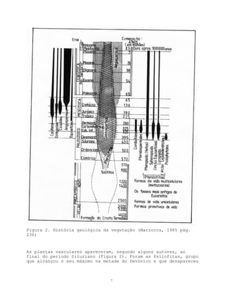 Figura 2. História geológica da vegetação (Marzocca, 1985 pág.
236)


As plantas vasculares apareceram, segundo alguns autores, ao
final do período Siluriano (Figura 2). Foram as Psilofitas, grupo
que alcançou o seu máximo na metade do Devónico e que desapareceu



                               7
 