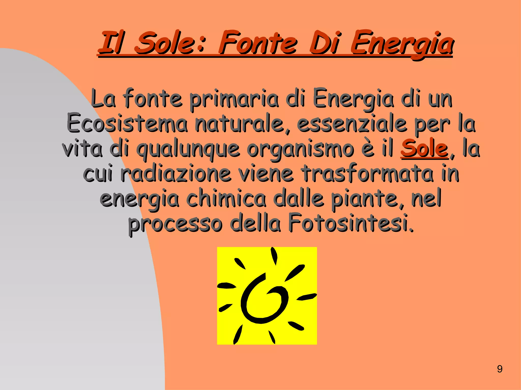 PPT - Ecologia PowerPoint Presentation, free download - ID:965780, image size:2048x1536