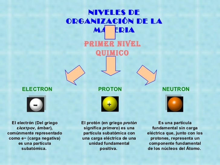 Ecologia