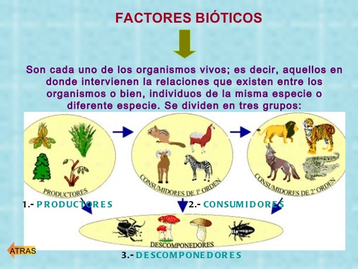 En Que Consiste Los Factores Bioticos es.slideshare.net