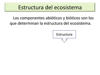 Estructura del ecosistema
 Los componentes abióticos y bióticos son los
que determinan la estructura del ecosistema.

                        Estructura
 