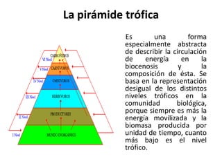 La pirámide trófica
            Es       una         forma
            especialmente abstracta
            de describir la circulación
            de     energía     en     la
            biocenosis        y       la
            composición de ésta. Se
            basa en la representación
            desigual de los distintos
            niveles tróficos en la
            comunidad        biológica,
            porque siempre es más la
            energía movilizada y la
            biomasa producida por
            unidad de tiempo, cuanto
            más bajo es el nivel
            trófico.
 