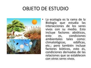 OBJETO DE ESTUDIO
       • La ecología es la rama de la
         Biología que estudia las
         interacciones de los seres
         vivos con su medio. Esto
         incluye factores abióticos,
         esto      es,    condiciones
         ambientales tales como:
         climatológicas,     edáficas,
         etc.; pero también incluye
         factores bióticos, esto es,
         condiciones derivadas de las
         relaciones que se establecen
         con otros seres vivos.
 
