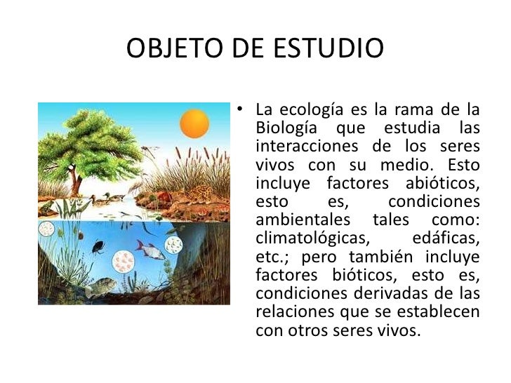 Ecologia