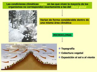 Las condiciones climáticas reales en las que viven la mayoría de los
 organismos no corresponden exactamente a las del clima global




                            Varían de forma considerable dentro de
                            una misma área climática




                                      MICROCLIMAS




                                             Topografía
                                             Cobertura vegetal
                                             Exposición al sol o al viento
 